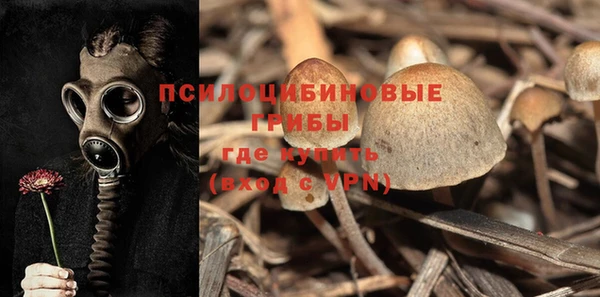 шишки Алзамай