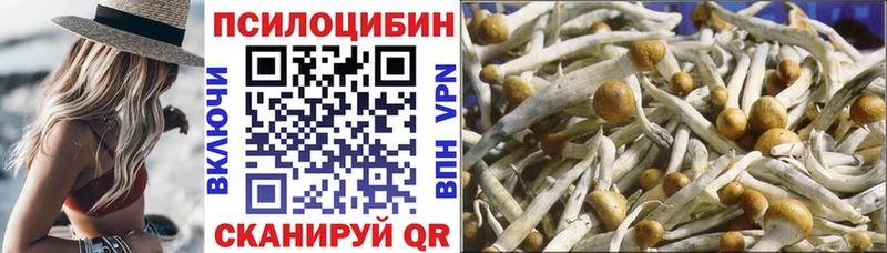 shop официальный сайт  Одинцово  KRAKEN   Псилоцибиновые грибы мухоморы  как найти наркотики 