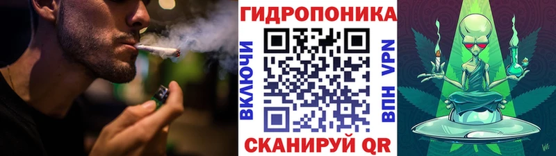 Конопля SATIVA & INDICA  KRAKEN ссылки  Одинцово 